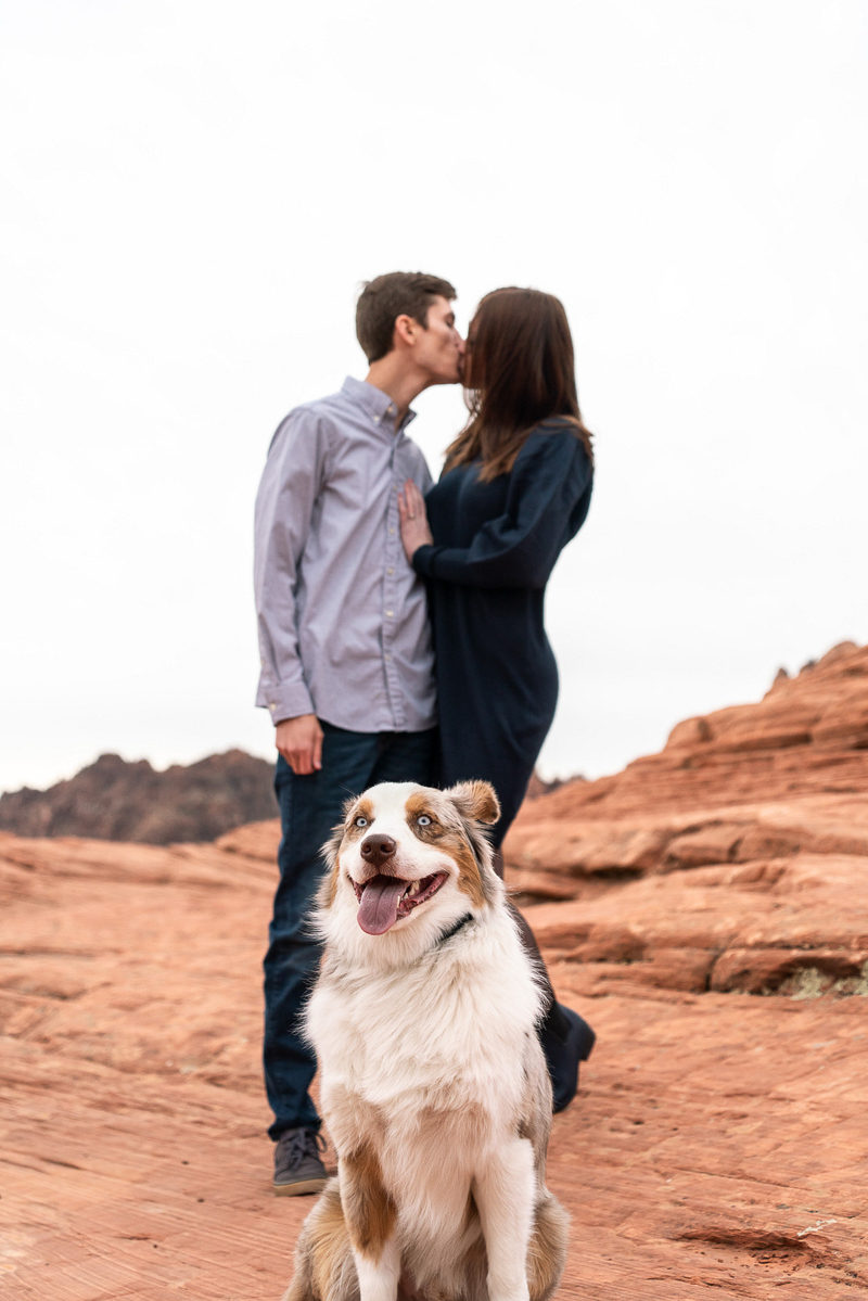couple kissing in background, handsome dog in foreground, ©AW Creates dog friendly engagement ideas