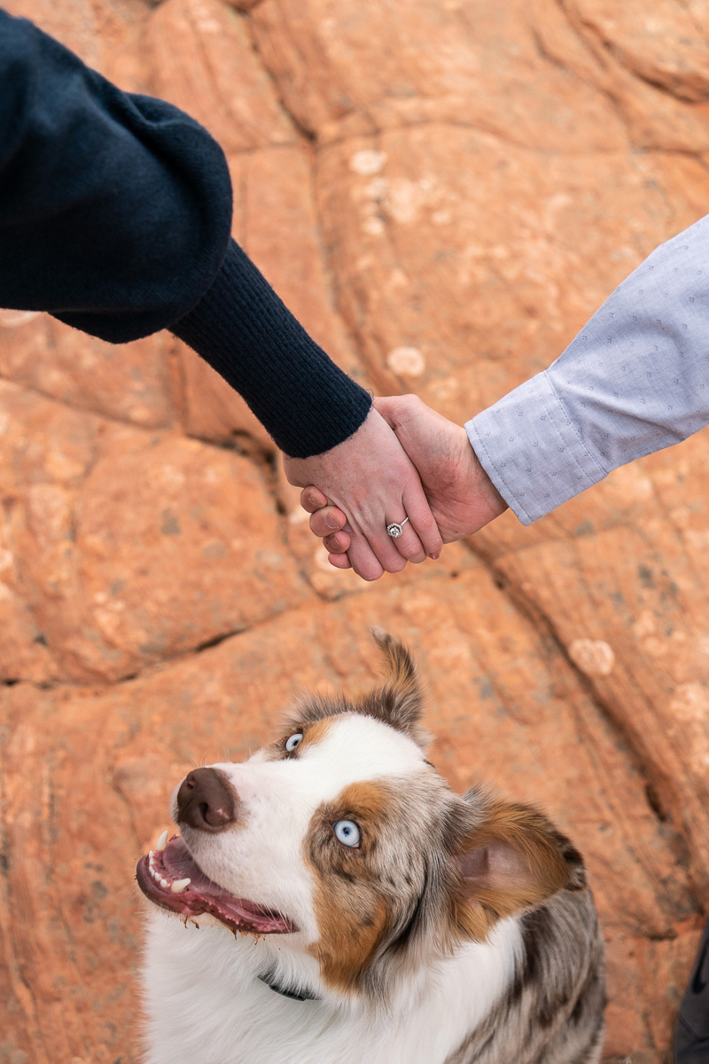 couple holding hands over dog's head, dog-friendly engagement photo ideas couple holding hands over dog's head, dog-friendly engagement photo ideas