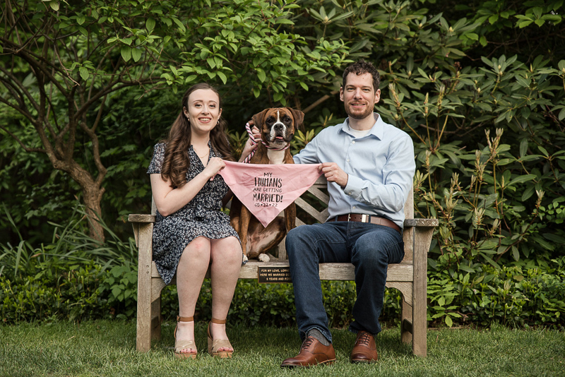 couple sitting on bench with their dog | Creative Image Weddings & Portraits