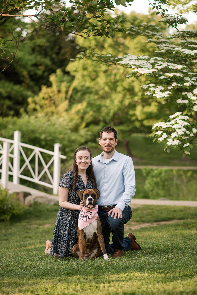 couple kneeling next to Boxer, dog-friendly engagement photos | Creative Image Weddings & Portraits, Sayen Gardens