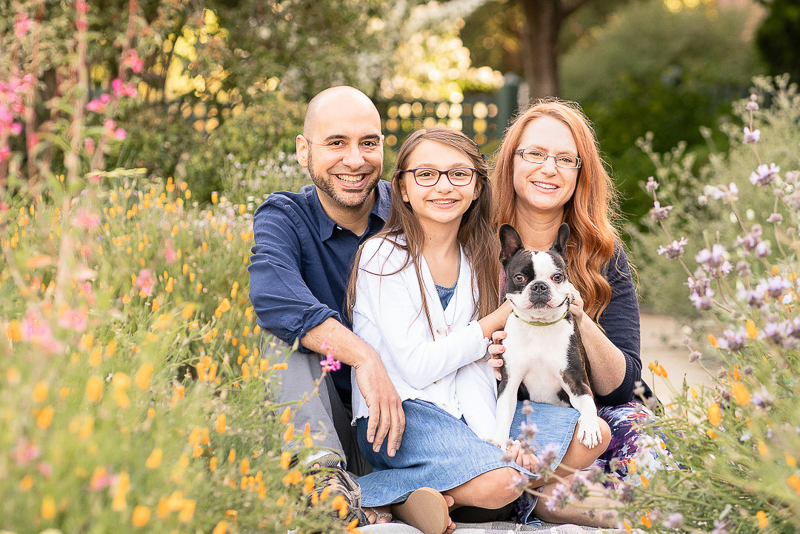 beautiful family portrait with Boston Terrier in the flowers | ©Laura Michele Photography