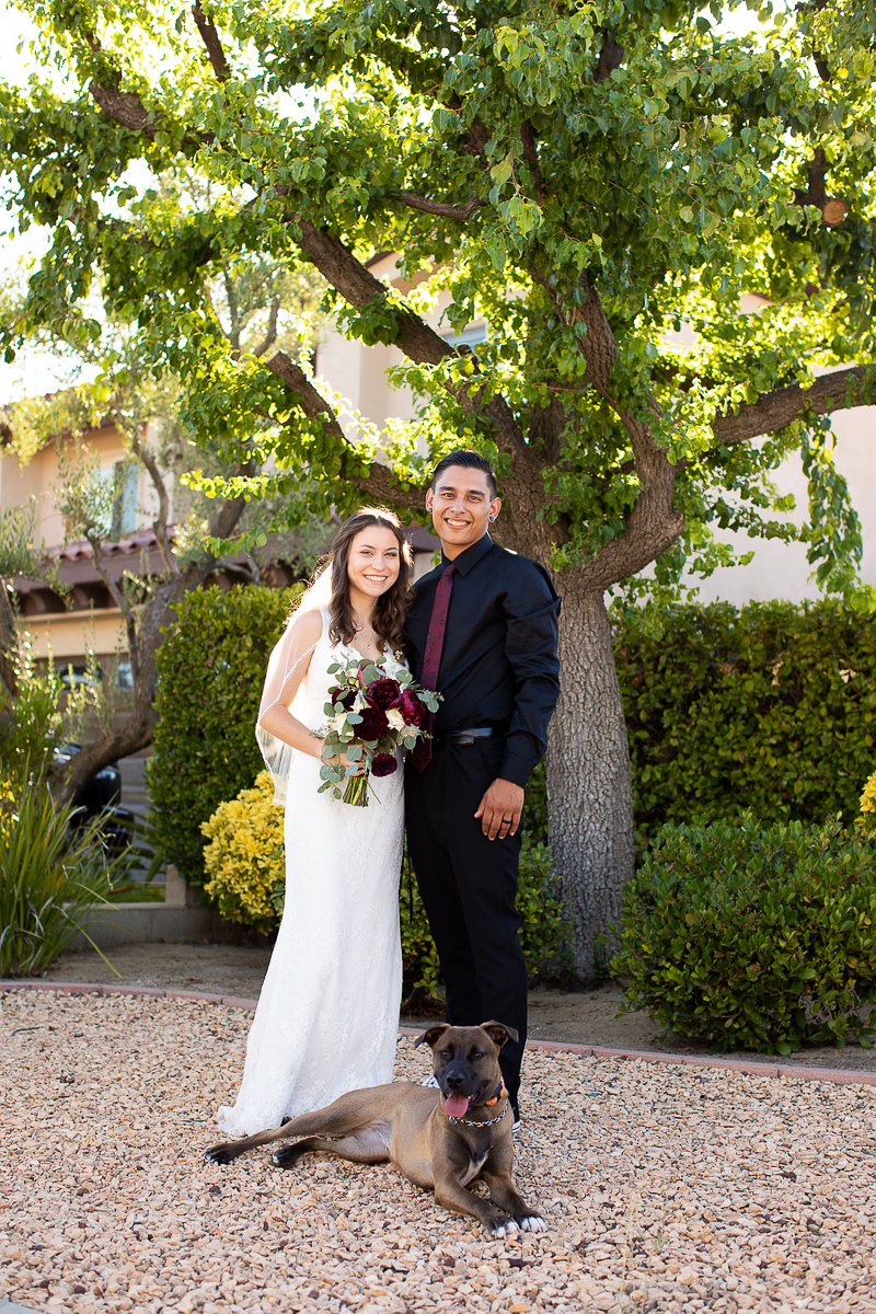 dog-friendly wedding, Lake Elsinore, CA ©Courtney McManaway Photography