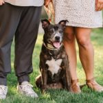 Dog-friendly Engagement Session | Chattanooga, TN