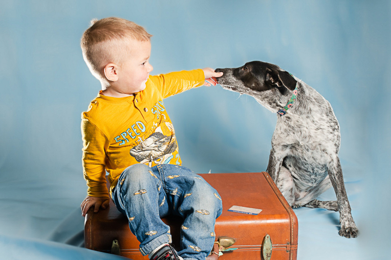 young boy wearing yellow shirt and jeans sitting on vintage suitcase, black and white dog licking his fingers | ©April Foltz Photography