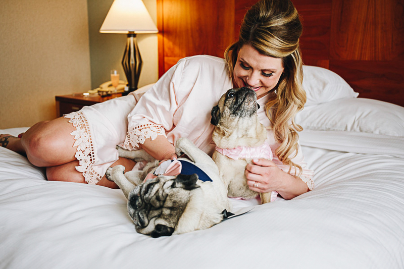 bride and her Pugs on bed in hotel | ©Please Don't Blink Photography