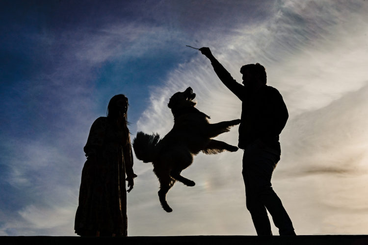 dog-friendly engagement | ©Party of Two Photography