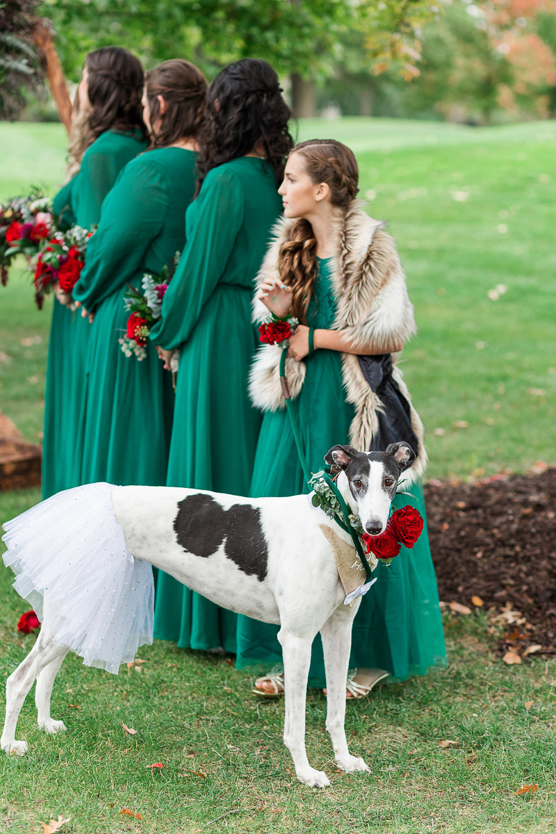 bridesmaid and dog of honor | dog-friendly wedding, ©Amanda Lauren Collective | Bexley, Ohio