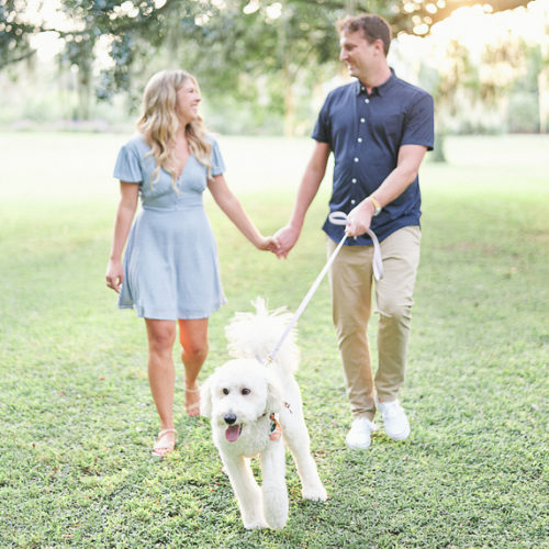 Engaging Tails:  Margot the Doodle | Charleston, SC