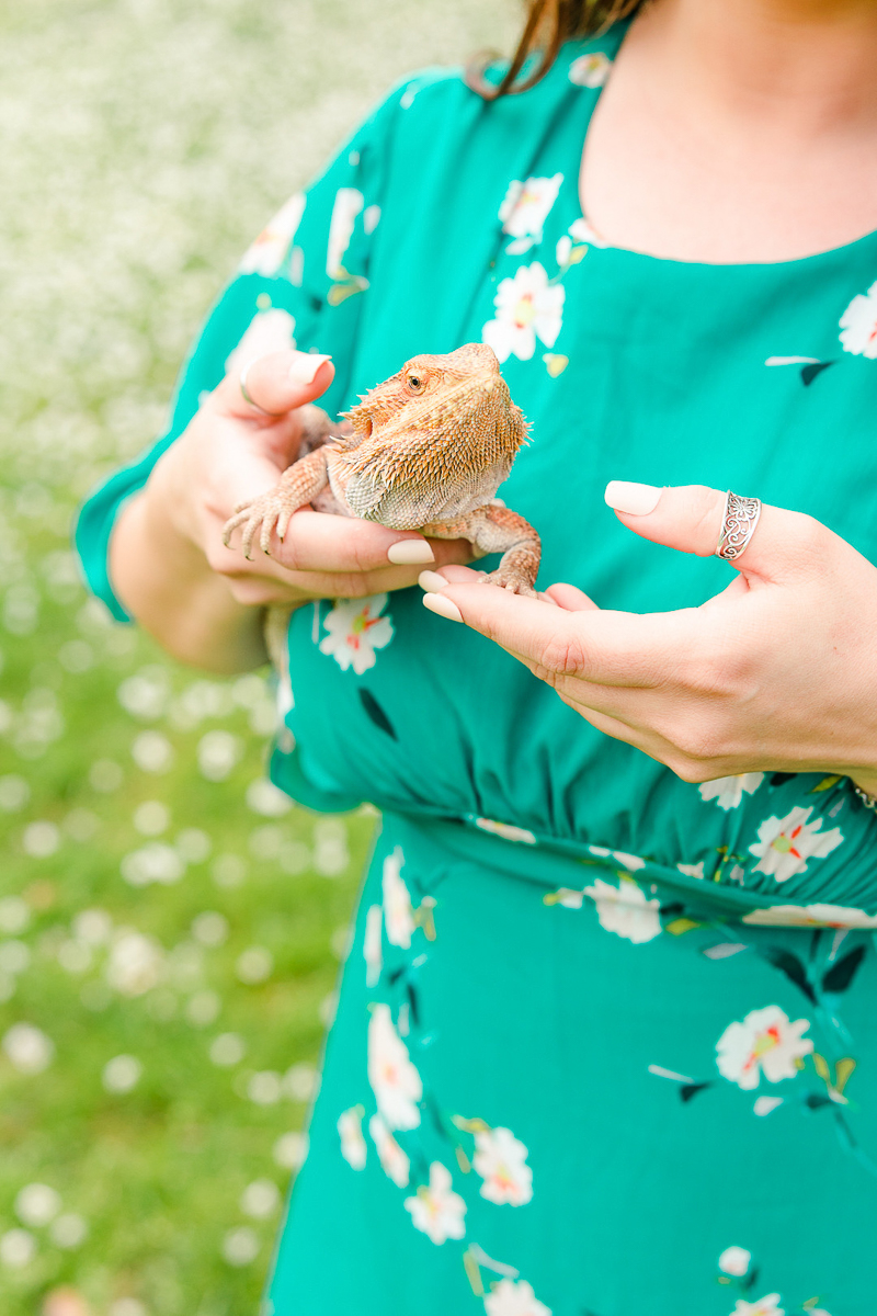 woman holding bearded dragon wearing a harness, Rochester pet photography ©Kelsee Bodine Photography