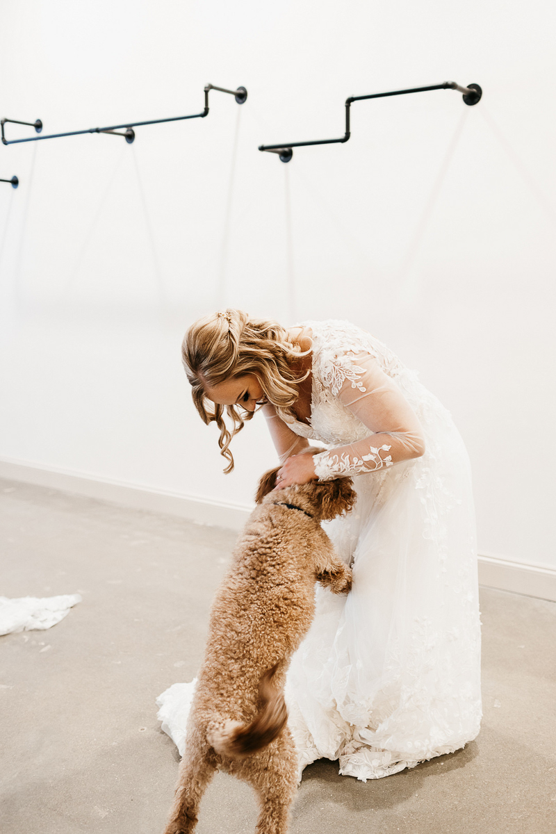 dog-friendly wedding, dog on hind legs greeting bride | © Kelsey Marie Photography