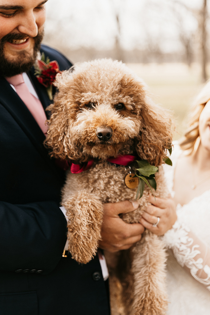 groom holding dog of honor, mini Goldendoodle ©Kelsey Marie Photography