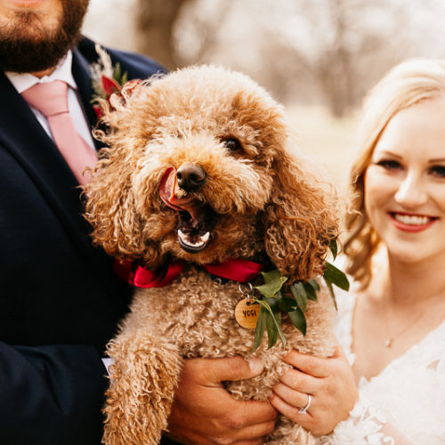 Best (Wedding) Dog | Tulsa, OK