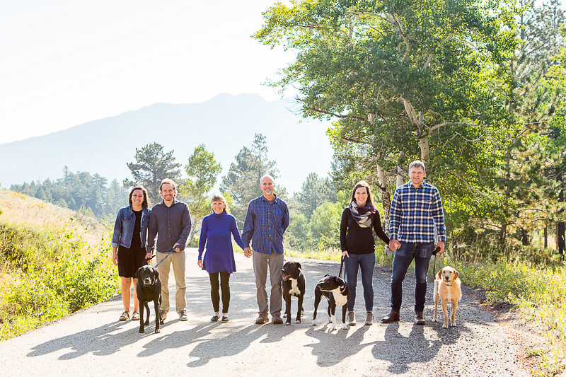 celebrating 40th anniversary with family trip, 6 humans, 4 dogs, 6 humans, 4 dogs standing on hillside, dog-friendly family portraits, ©Nichole Emerson Photography