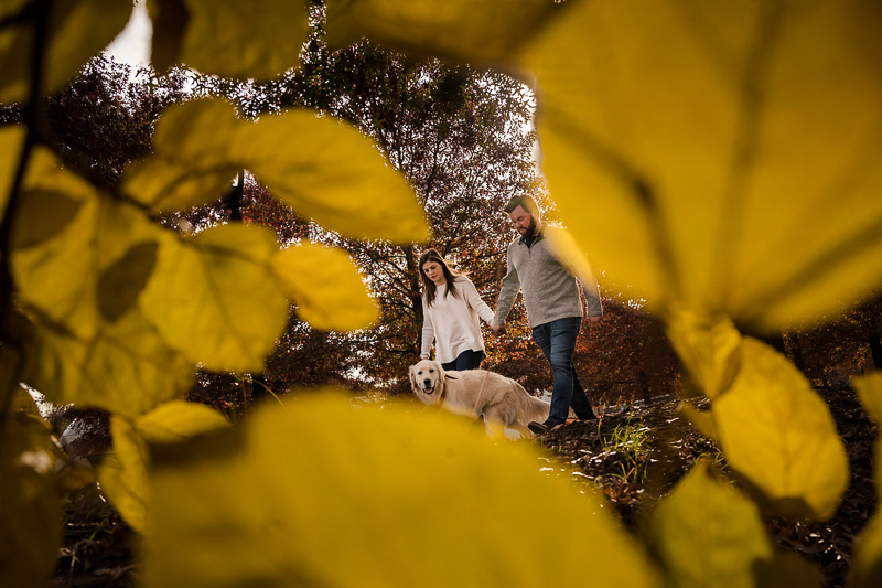 dog-friendly engagement photo taken through yellow leaves | ©Party of Two Photography