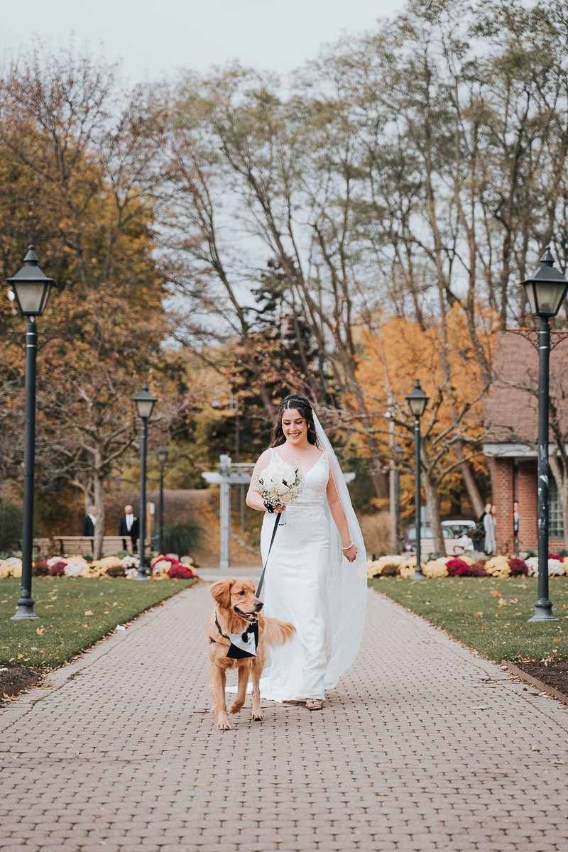 bride walking with dog for first look | ©Focus Photography