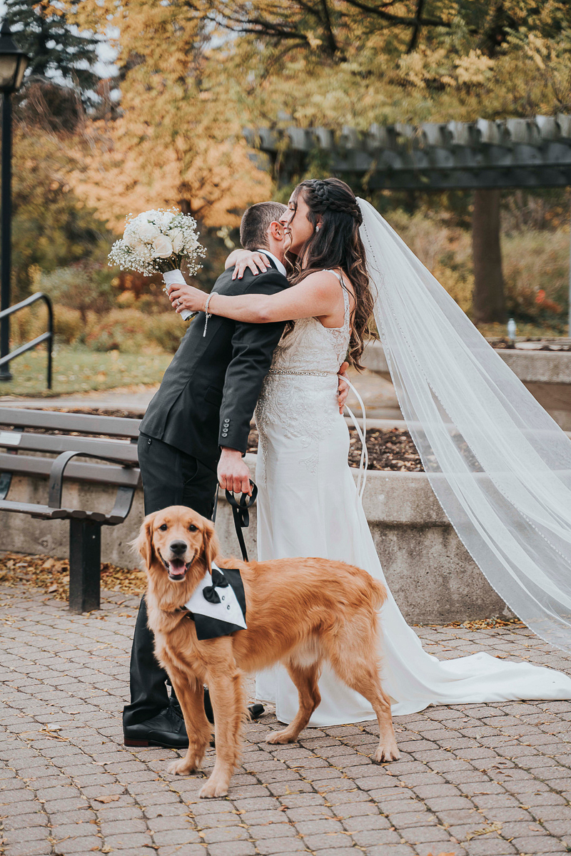 bride and groom embracing while Golden Retriever stands in front of them | ©Focus Photography