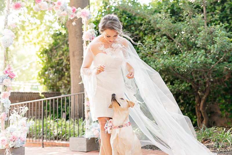 bride and her dog | ©Amanda MacPhee Studios-dog-friendly bridal portraits | Baltimore, MD