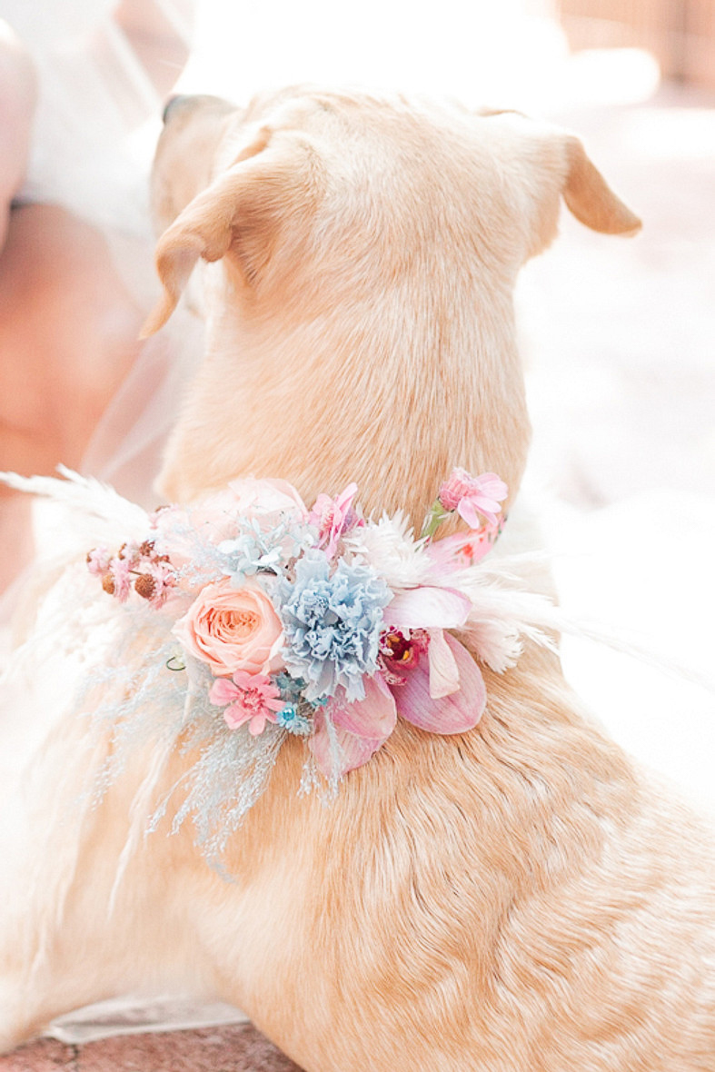 floral collar for wedding dog | Form and Fire Design ©Amanda MacPhee Studios 