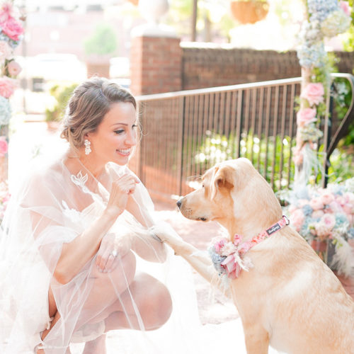 Dog-friendly Bridal Portraits | Baltimore, MD