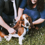 Basset Hound, dog-friendly engagement | | ©Green Apple Photography, Louisville, KY