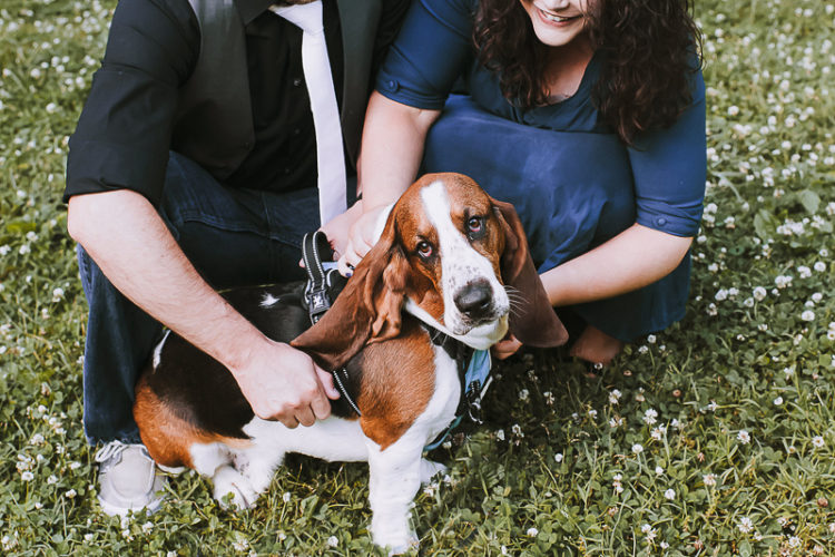 Basset Hound, dog-friendly engagement | | ©Green Apple Photography, Louisville, KY