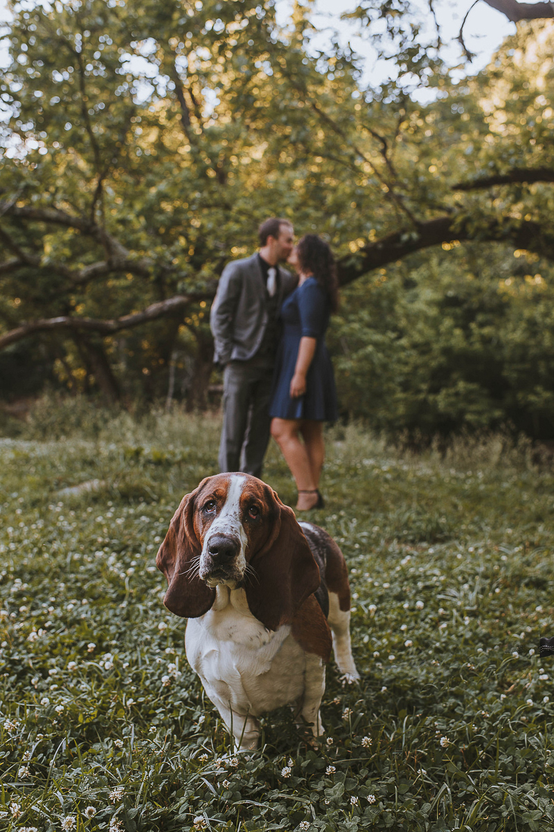 Basset Hound in foreground, couple kissing in background | ©Green Apple Photography,