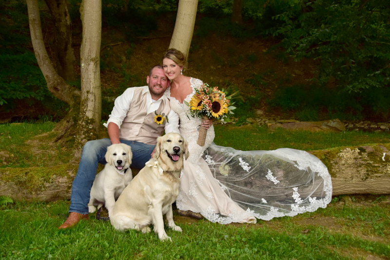 dog-friendly country wedding, bride holding sunflowers, wedding couple and their dogs, ©Photos by Miss Kris, Rayne, PA
