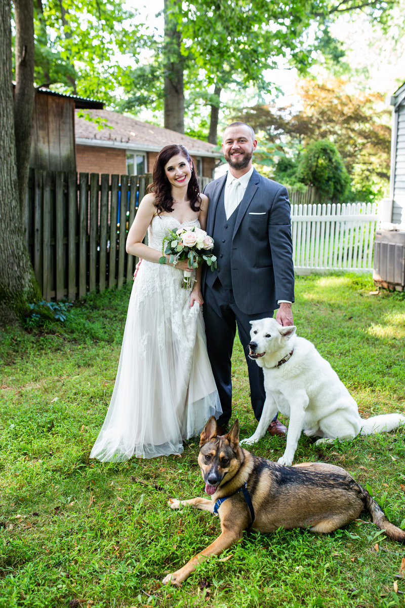 wedding couple and their dogs, first look with dogs | ©ProPhoto By MK