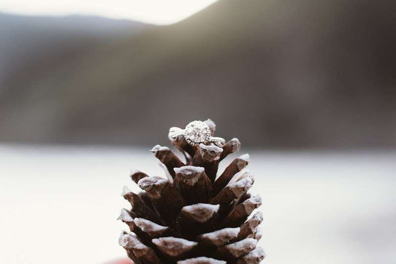 timeless ring shot, engagement ring in pinecone, river and hills in background, ring shot ideas | ©Courtney Kammers Photography