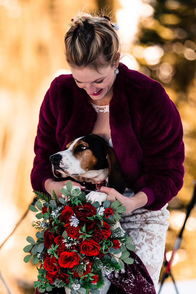 bride holding bouquet and looking at Walker Coonhound, ideas for including dogs in weddings, ©The Outlovers 