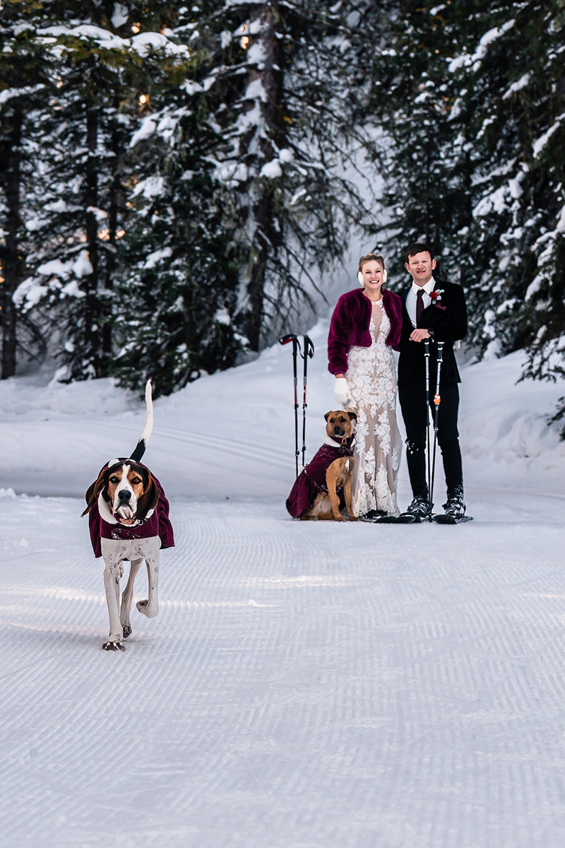 snowy, dog-friendly elopement, Telluride, Colorado |©The Outlovers, Coonhound and Rhodesian Ridgeback mix