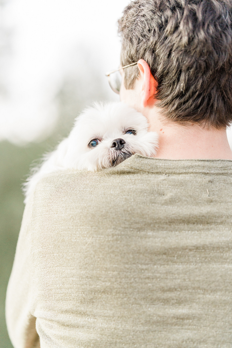 cute little white dog snuggling against man's shoulder ©Mel Schroeder Photography